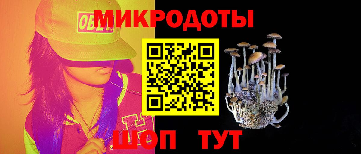 Галлюциногенные грибы Magic Shrooms Вольск